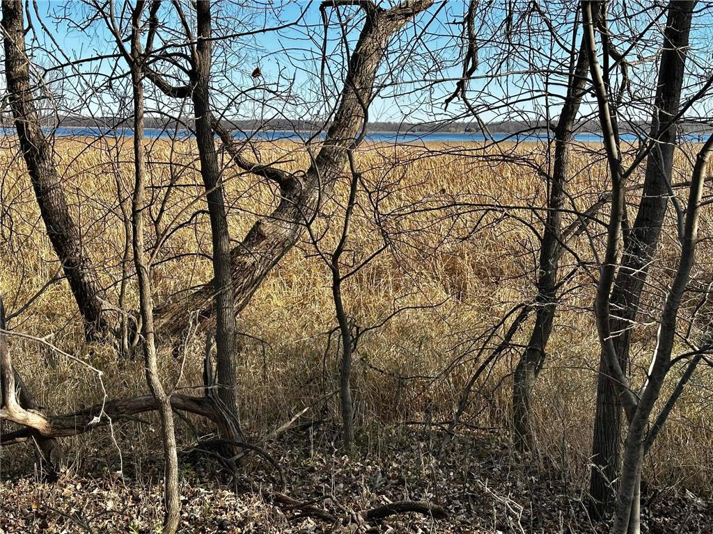 TBD Hummingbird Way Alexandria MN 56308 - Mary Lake 6823603 image20