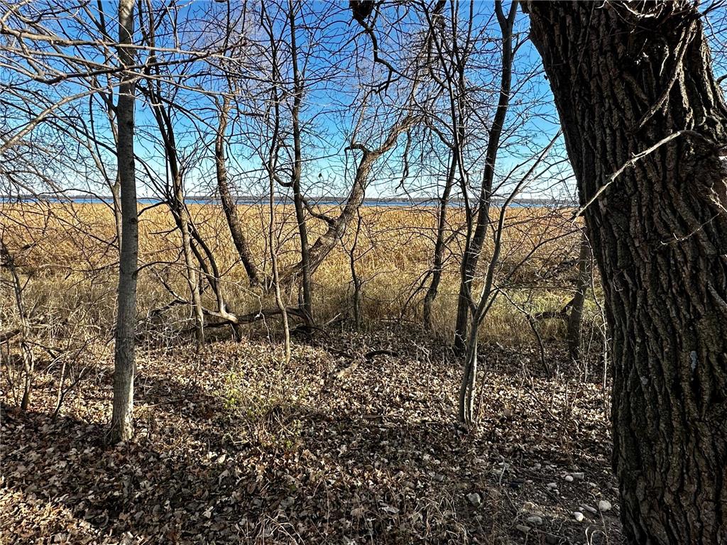TBD Hummingbird Way Alexandria MN 56308 - Mary Lake 6823603 image3