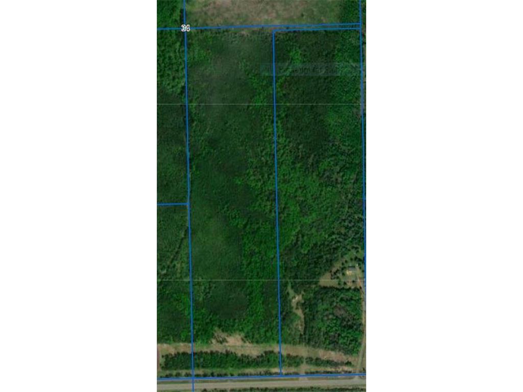 TBD Hwy 11 Birchdale MN 56629 6461416 image1