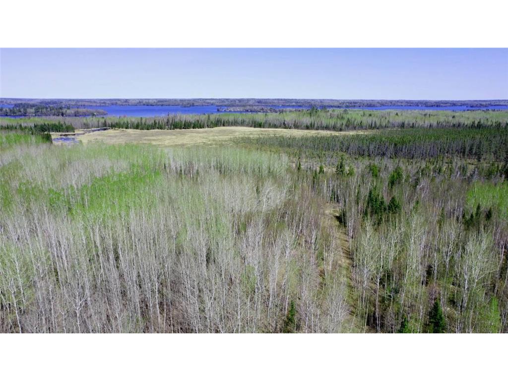 TBD5 Hwy. 115 Greenwood Twp MN 55790 6719193 image1