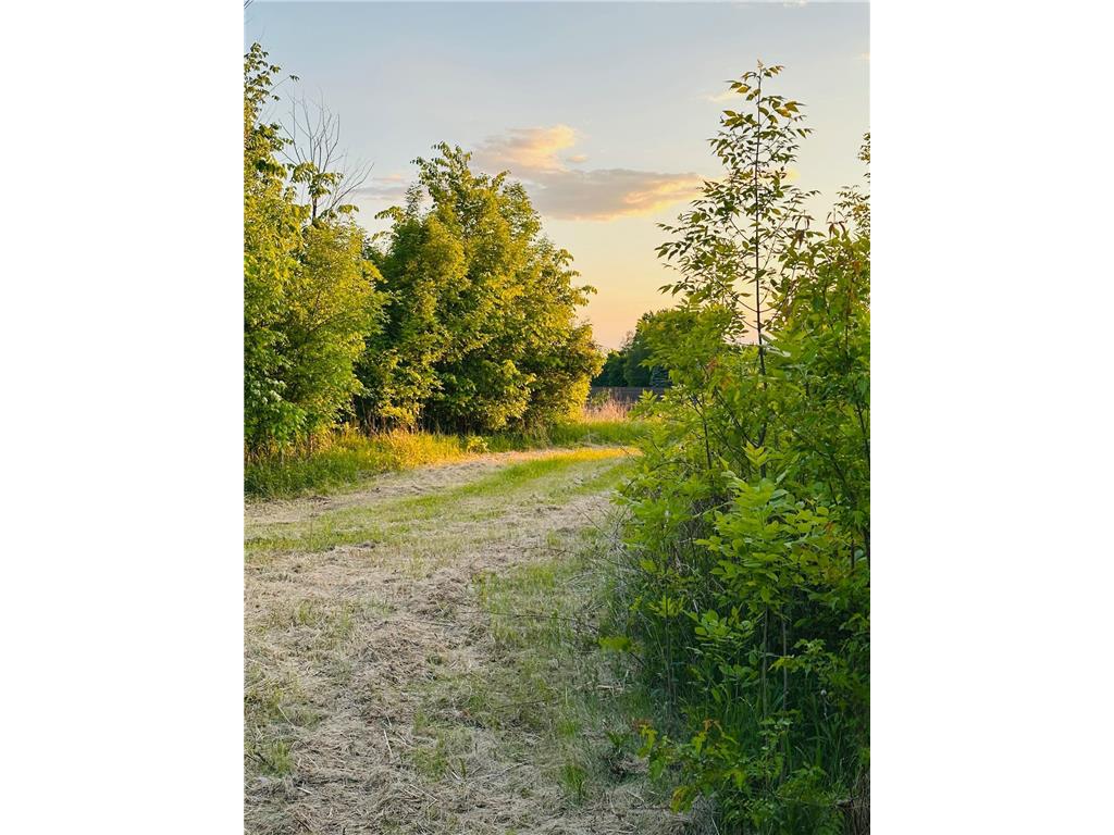 TBD Hwy 19 / Lonsdale Blv Lonsdale Blvd E Boulevard E Bridgewater Twp MN 55057 6728645 image1