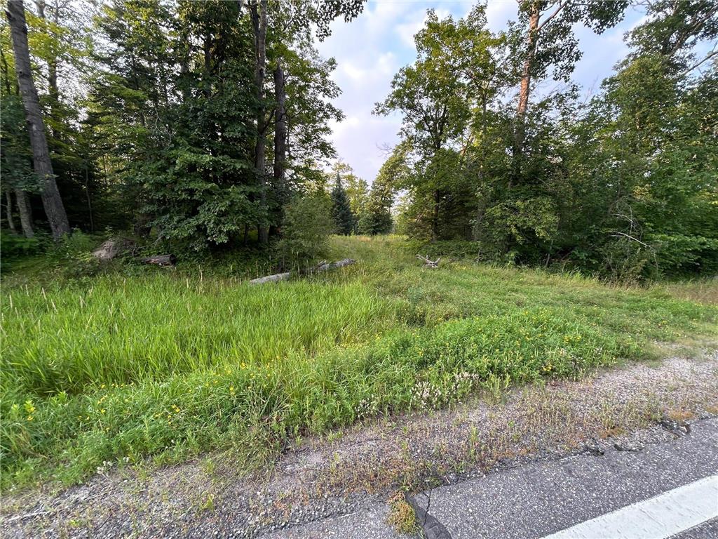 TBD Hwy 200 Hill Lake Twp MN 55748 6769126 image1