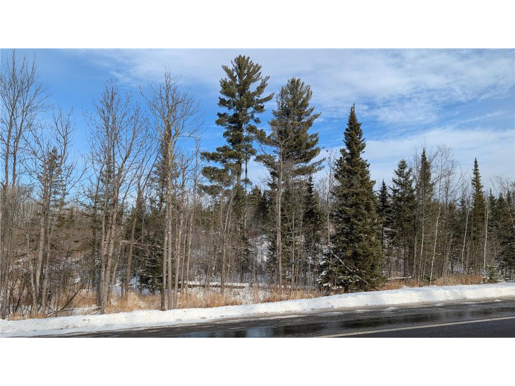 TBD Hwy. 22 Angora Twp MN 55703 7008897 image1