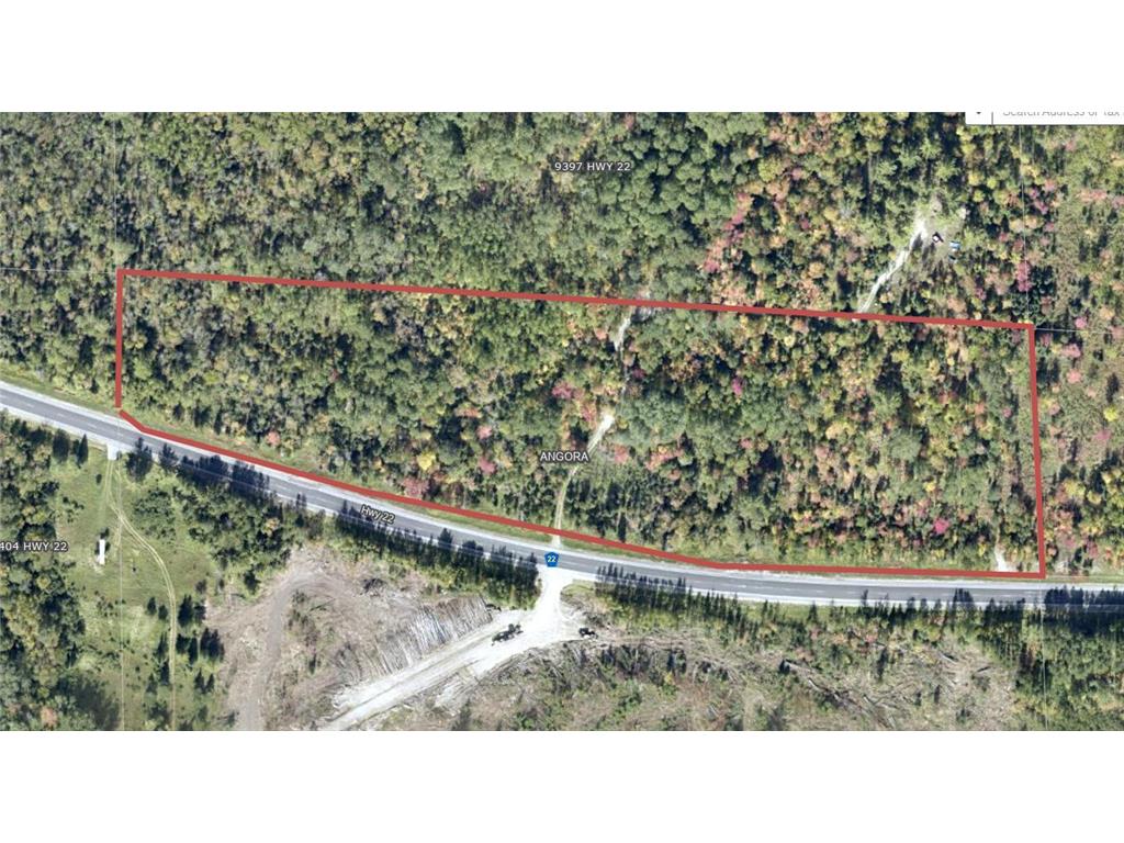 TBD Hwy. 22 Angora Twp MN 55703 7008897 image3