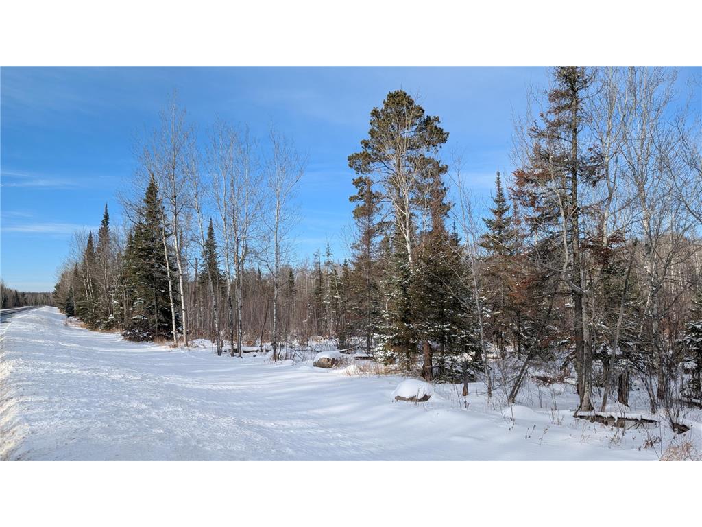 TBD Hwy. 22 Angora Twp MN 55703 7008897 image5