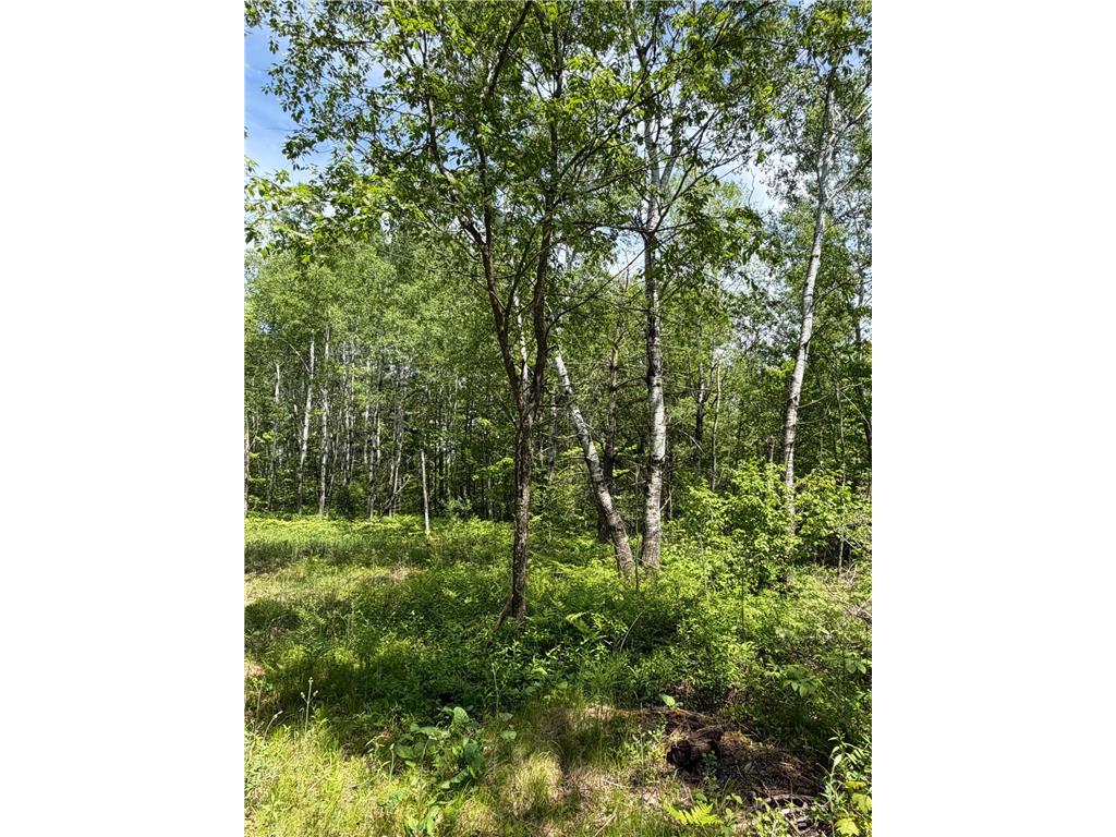 TBD Hwy. 23 Bruno MN 55712 7080917 image10