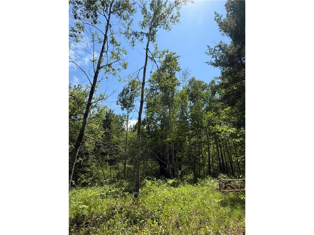 TBD Hwy. 23 Bruno MN 55712 7080917 image11