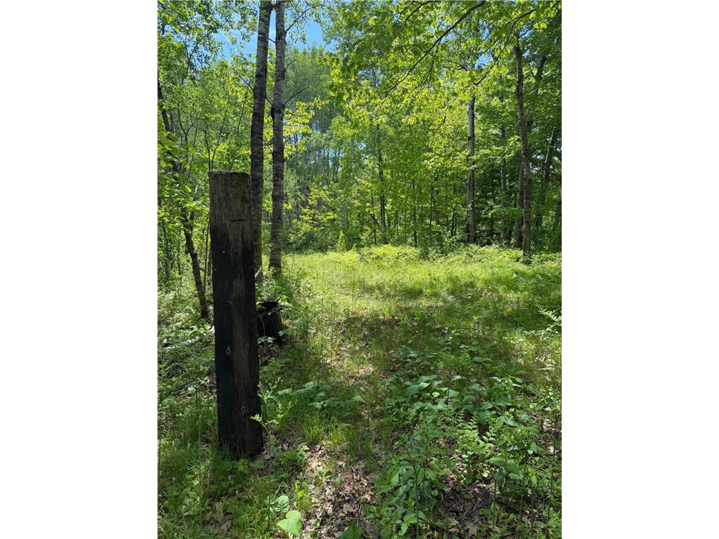 TBD Hwy. 23 Bruno MN 55712 7080917 image6