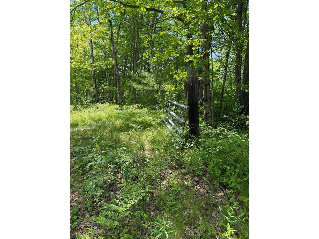 TBD Hwy. 23 Bruno MN 55712 7080917 image7