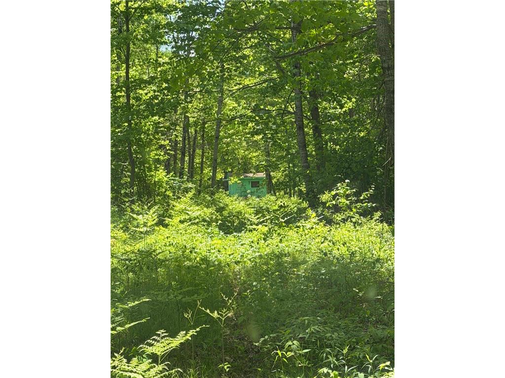 TBD Hwy. 23 Bruno MN 55712 7080917 image8
