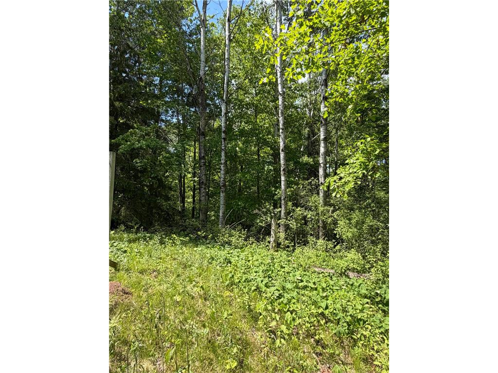 TBD Hwy. 23 Bruno MN 55712 7080917 image9