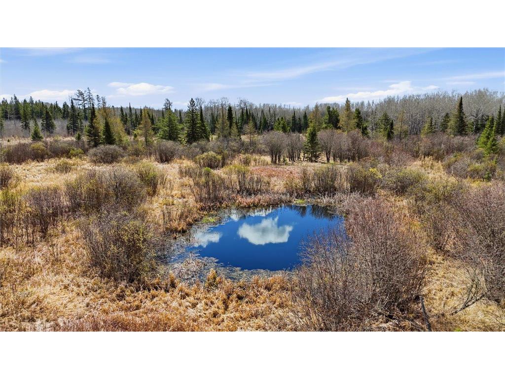 TBD Hwy 25 Angora MN 55703 7075179 image6