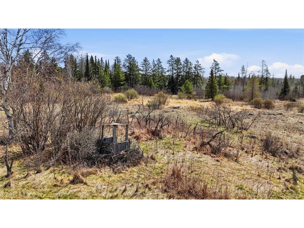 TBD Hwy 25 Angora MN 55703 7075179 image7