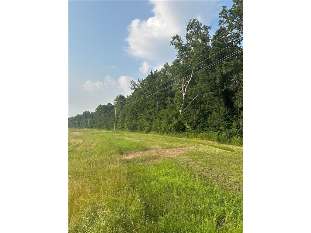 TBD Hwy 29 Miltona Twp MN 56361 6764536 image1