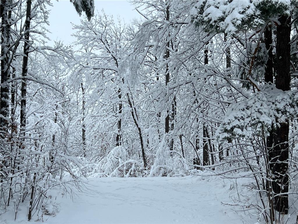 TBD Hwy 371 Hackensack MN 56452 6250035 image1