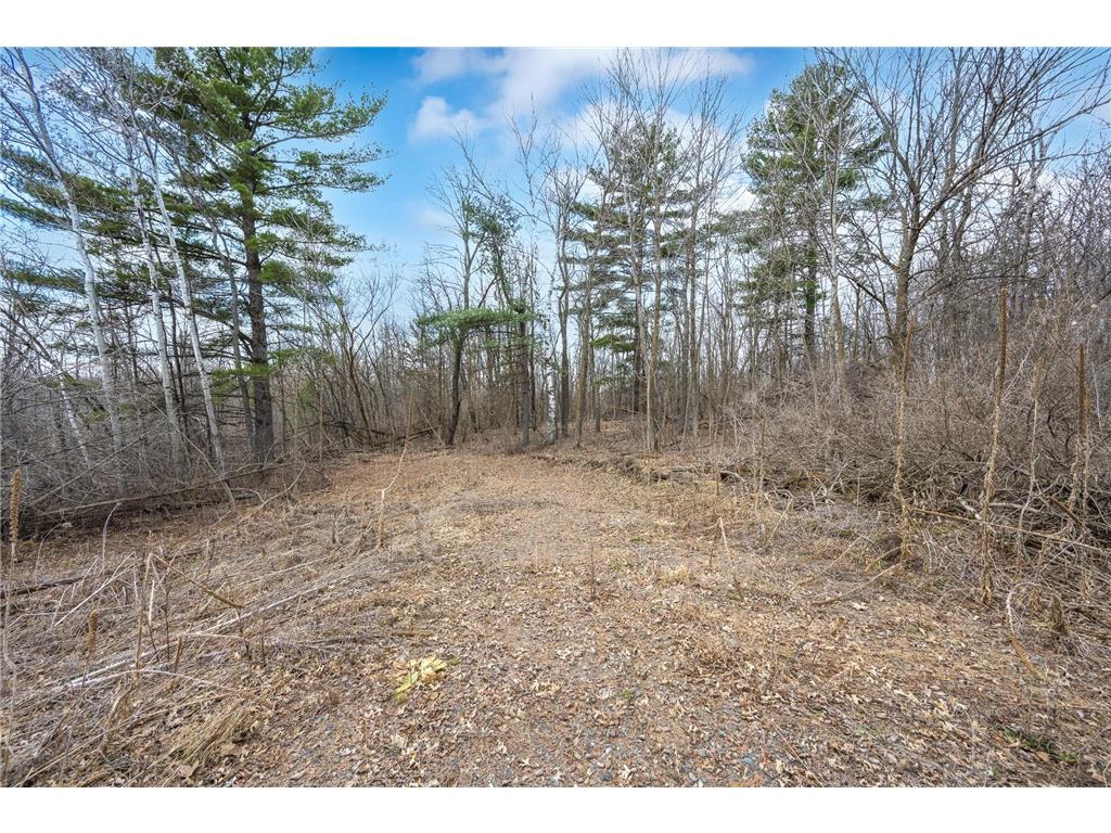 TBD Hwy 46 Milltown WI 54810 7054246 image1