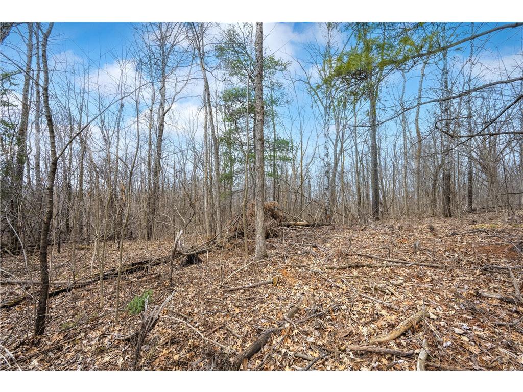TBD Hwy 46 Milltown WI 54810 7054246 image3