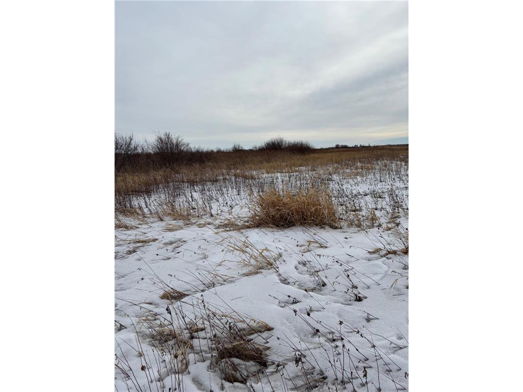TBD Hwy 59 Marsh Creek Twp MN 56557 6721457 image4