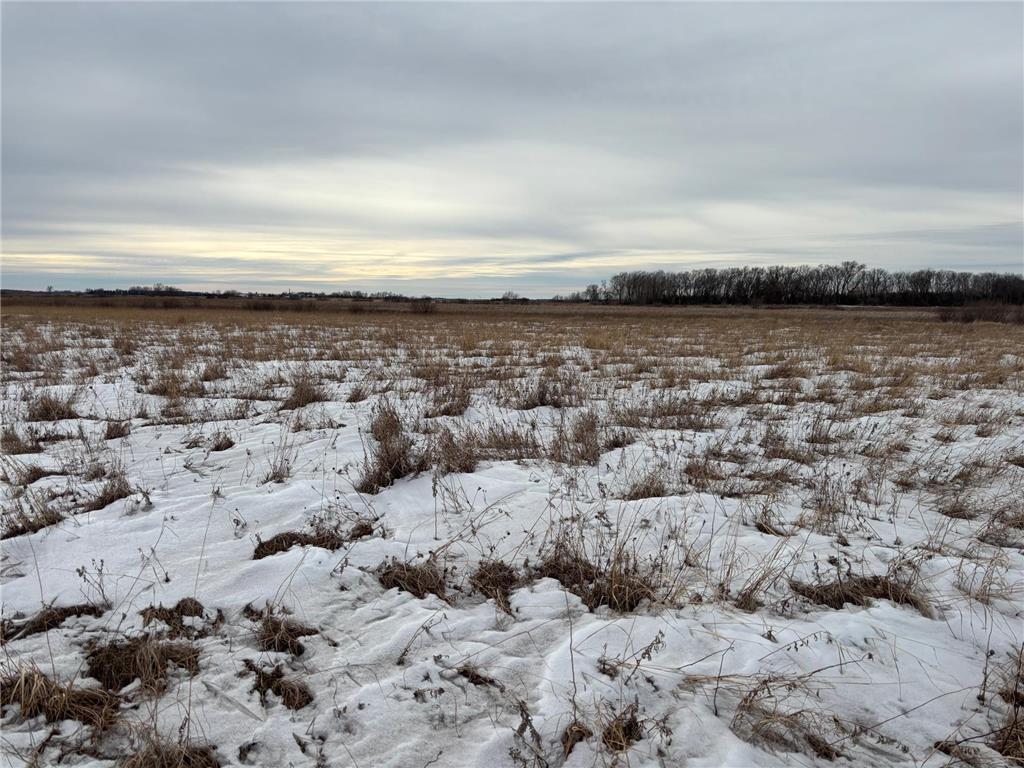 TBD Hwy 59 Marsh Creek Twp MN 56557 6721457 image6