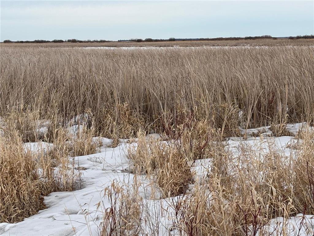 TBD Hwy 59 Marsh Creek Twp MN 56557 6721457 image8