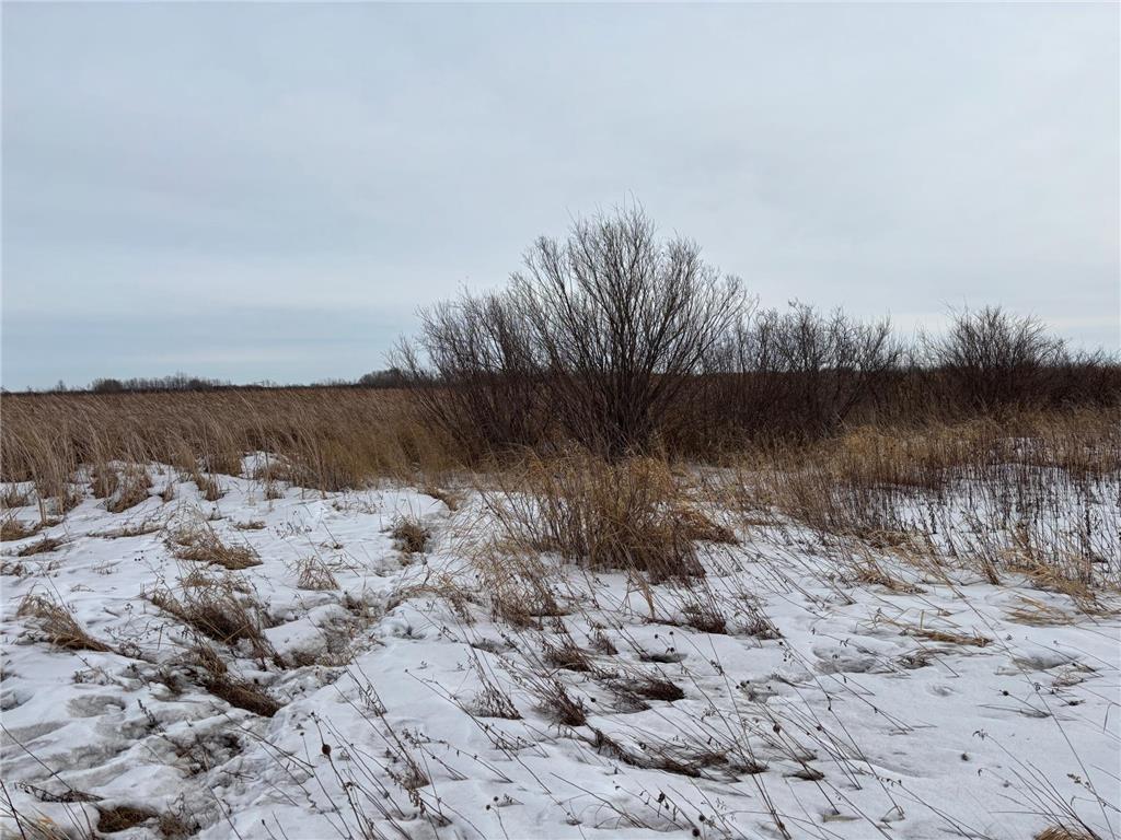 TBD Hwy 59 Marsh Creek Twp MN 56557 7076394 image10