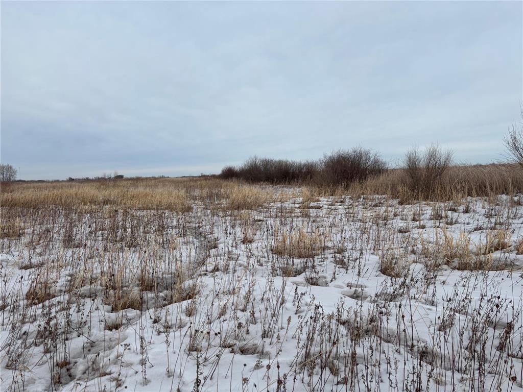 TBD Hwy 59 Marsh Creek Twp MN 56557 7076394 image11