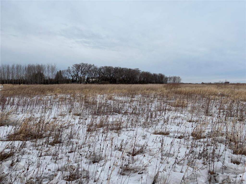 TBD Hwy 59 Marsh Creek Twp MN 56557 7076394 image12