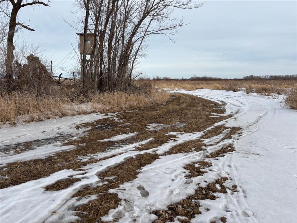 TBD Hwy 59 Marsh Creek Twp MN 56557 7076394 image2
