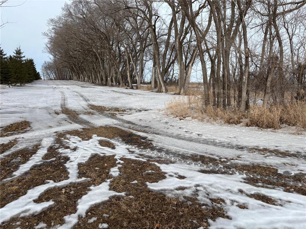 TBD Hwy 59 Marsh Creek Twp MN 56557 7076394 image3