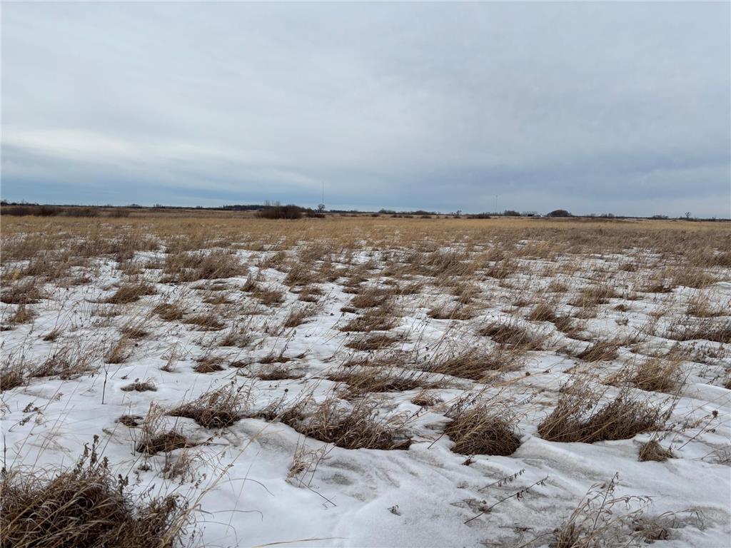 TBD Hwy 59 Marsh Creek Twp MN 56557 7076394 image5