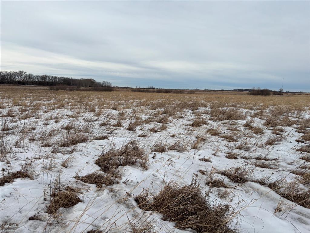 TBD Hwy 59 Marsh Creek Twp MN 56557 7076394 image7