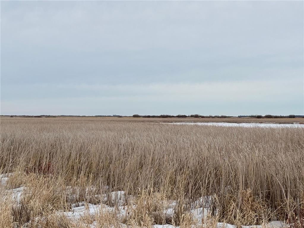 TBD Hwy 59 Marsh Creek Twp MN 56557 7076394 image9