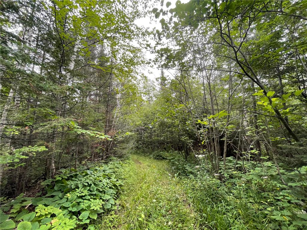 TBD Hwy 61, Beaver Bay Twp, MN, 55616 MLS 6253706 Edina Realty