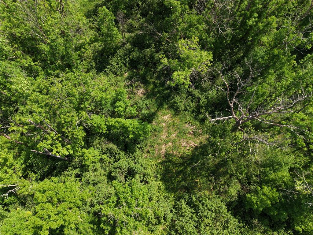 TBD Hwy 65 Isle MN 56342 7088659 image11