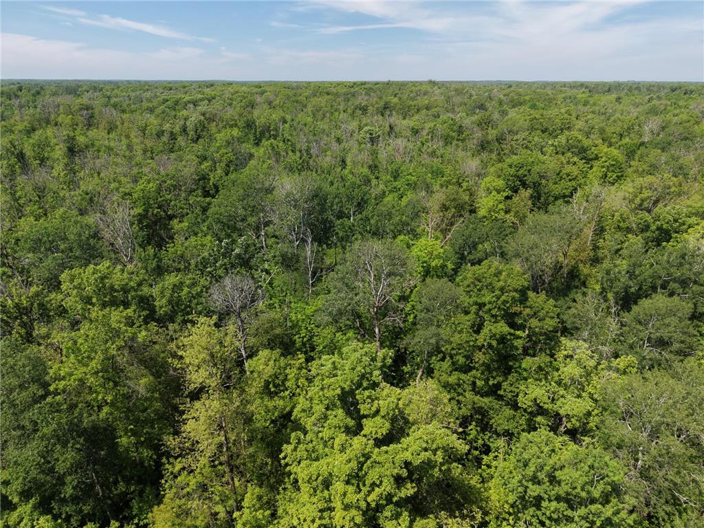 TBD Hwy 65 Isle MN 56342 7088659 image12