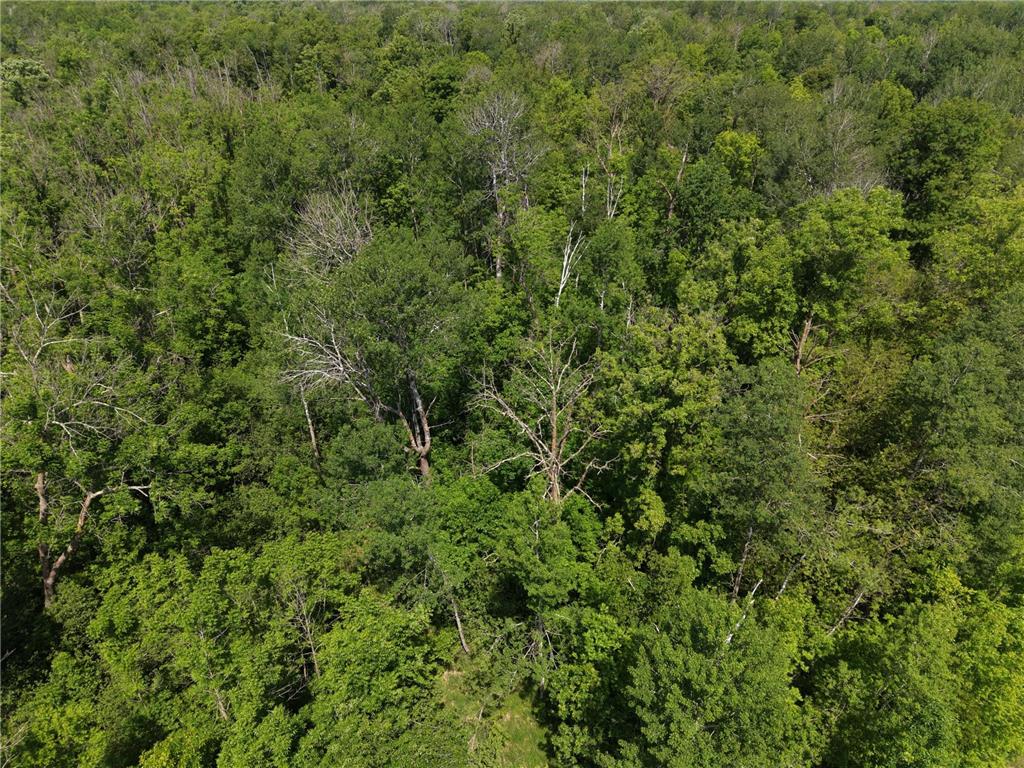 TBD Hwy 65 Isle MN 56342 7088659 image13