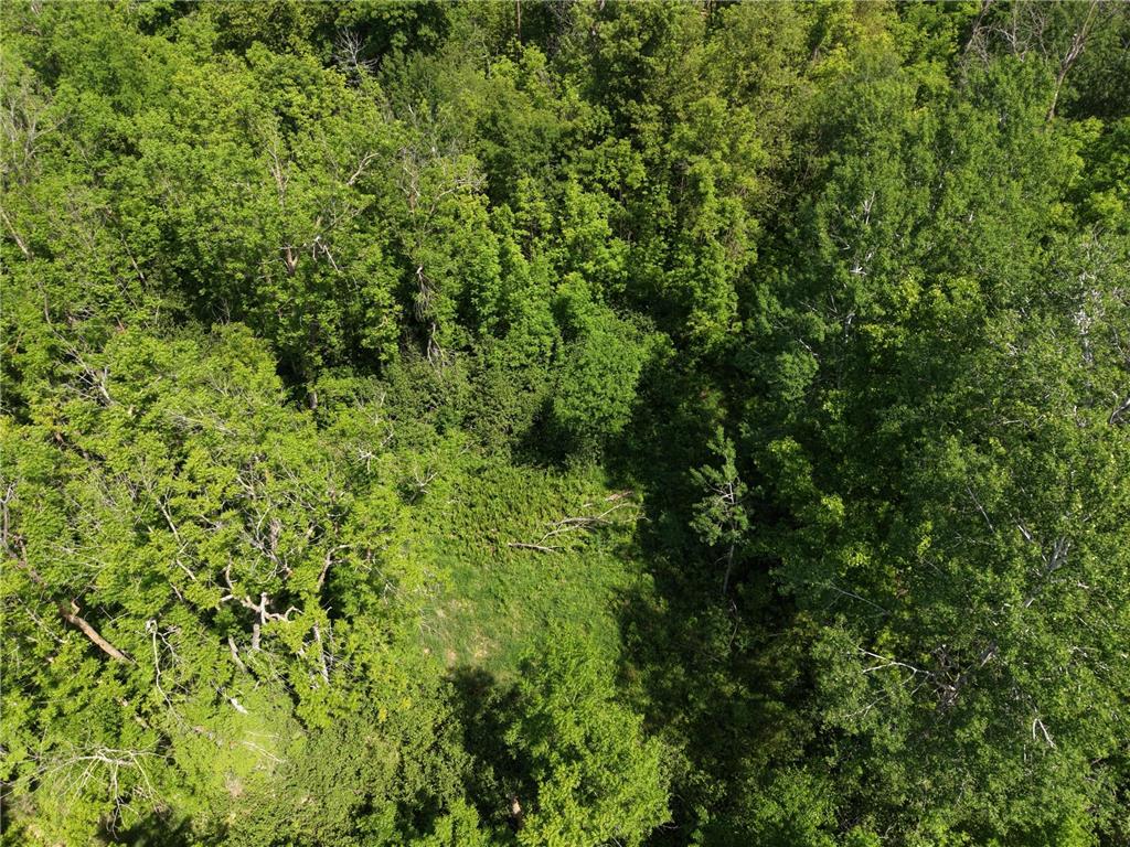 TBD Hwy 65 Isle MN 56342 7088659 image14