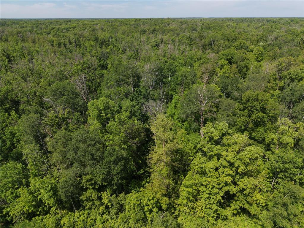 TBD Hwy 65 Isle MN 56342 7088659 image8