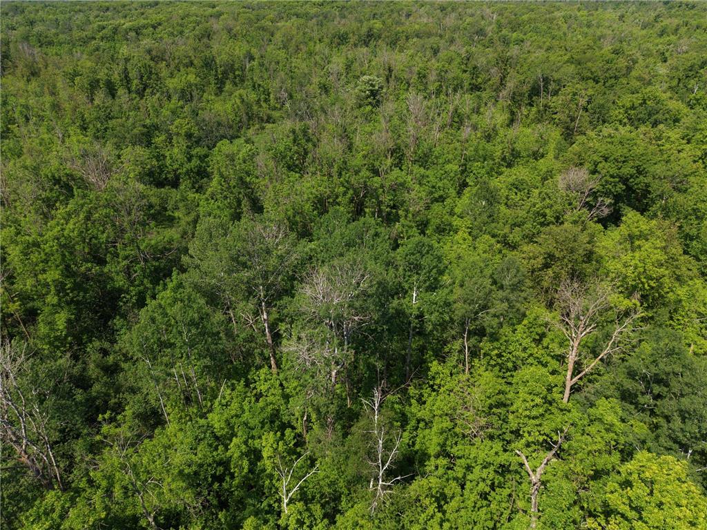 TBD Hwy 65 Isle MN 56342 7088659 image9