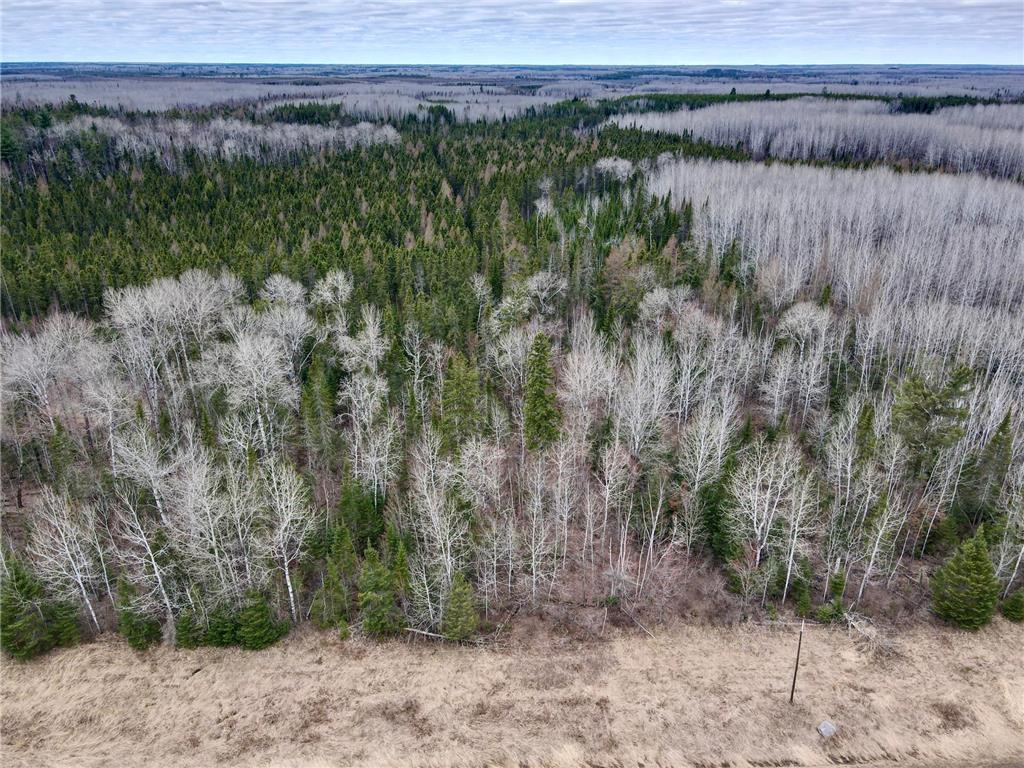 TBD Hwy 65 Nashwauk MN 55769 7063309 image11