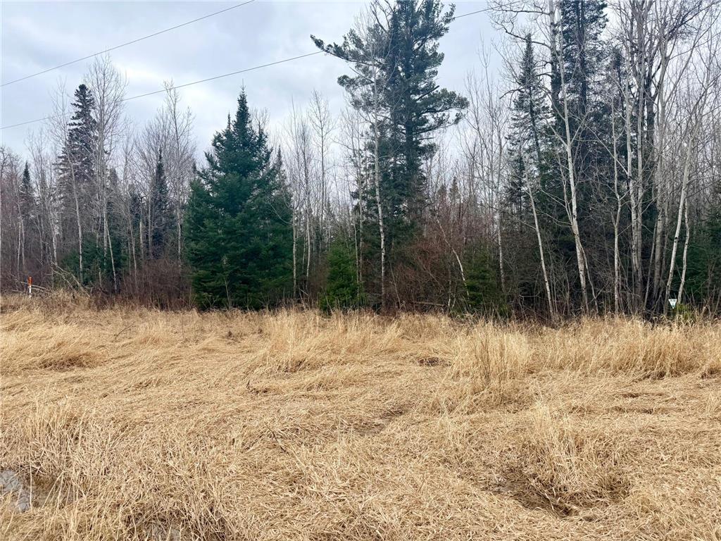 TBD Hwy 65 Nashwauk MN 55769 7063309 image4