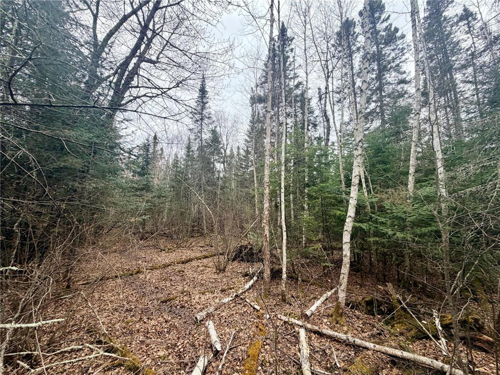 TBD Hwy 65 Nashwauk MN 55769 7063309 image5