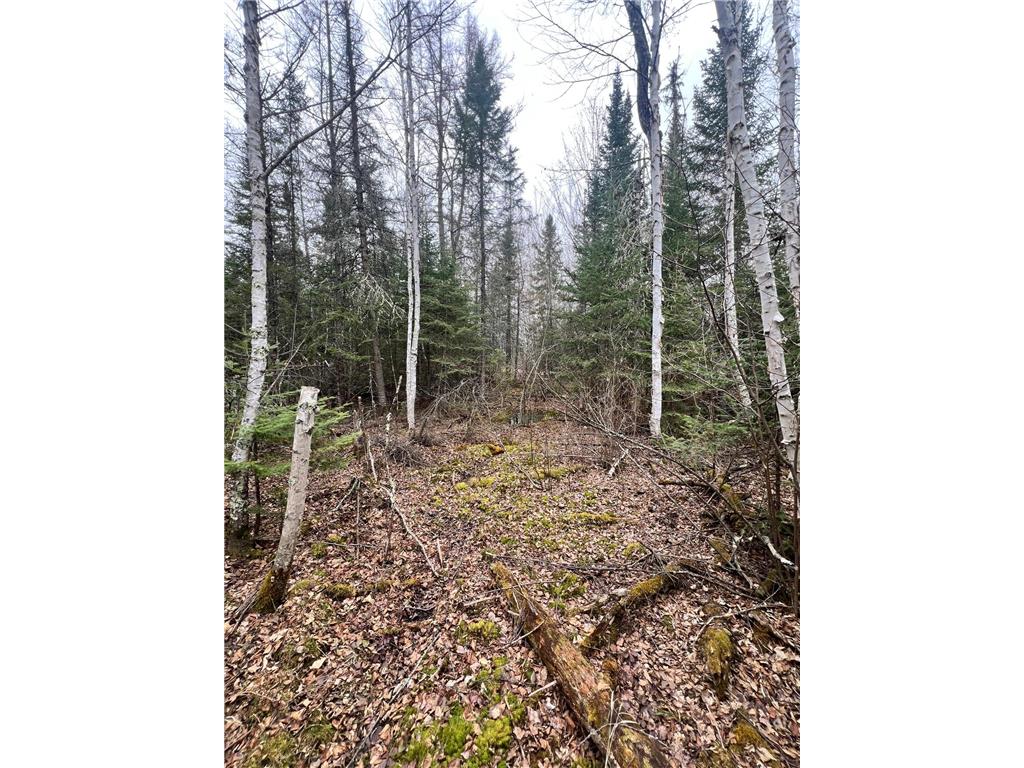 TBD Hwy 65 Nashwauk MN 55769 7063309 image6