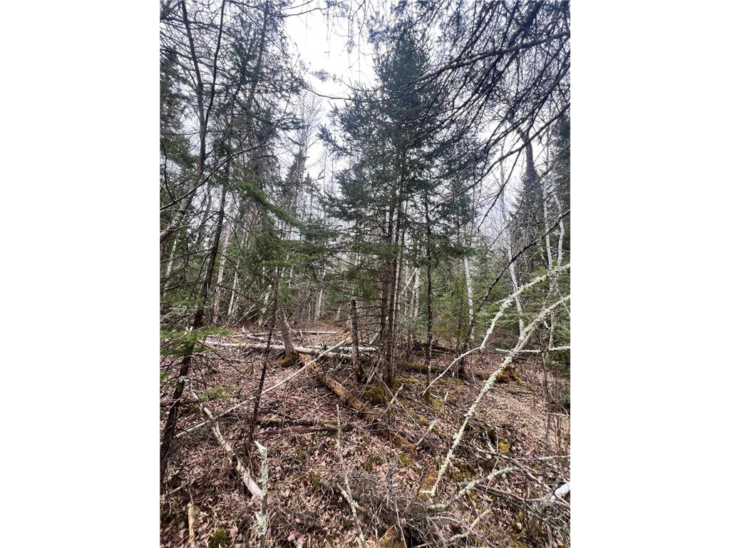 TBD Hwy 65 Nashwauk MN 55769 7063309 image7
