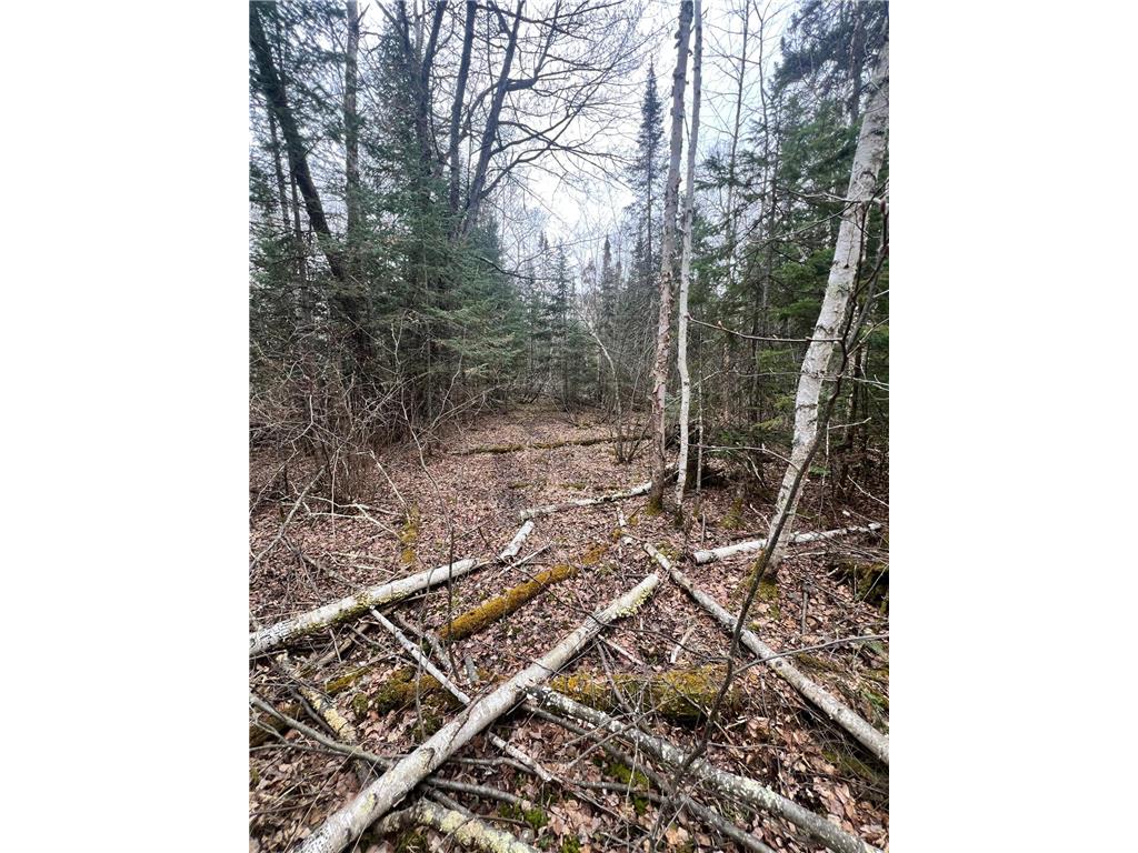 TBD Hwy 65 Nashwauk MN 55769 7063309 image8