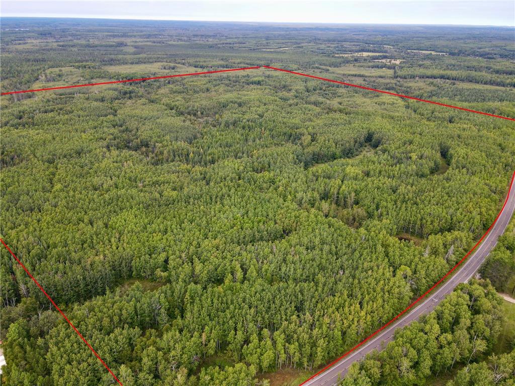 TBD Hwy 65 Nashwauk Twp MN 55769 6781204 image1