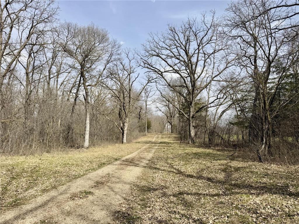 TBD Hwy 71 Sauk Centre MN 56378 - Sauk 7061987 image9