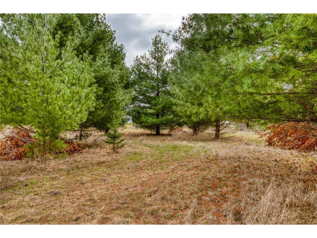 TBD Hwy 71 South Bemidji MN 56601 7062686 image28