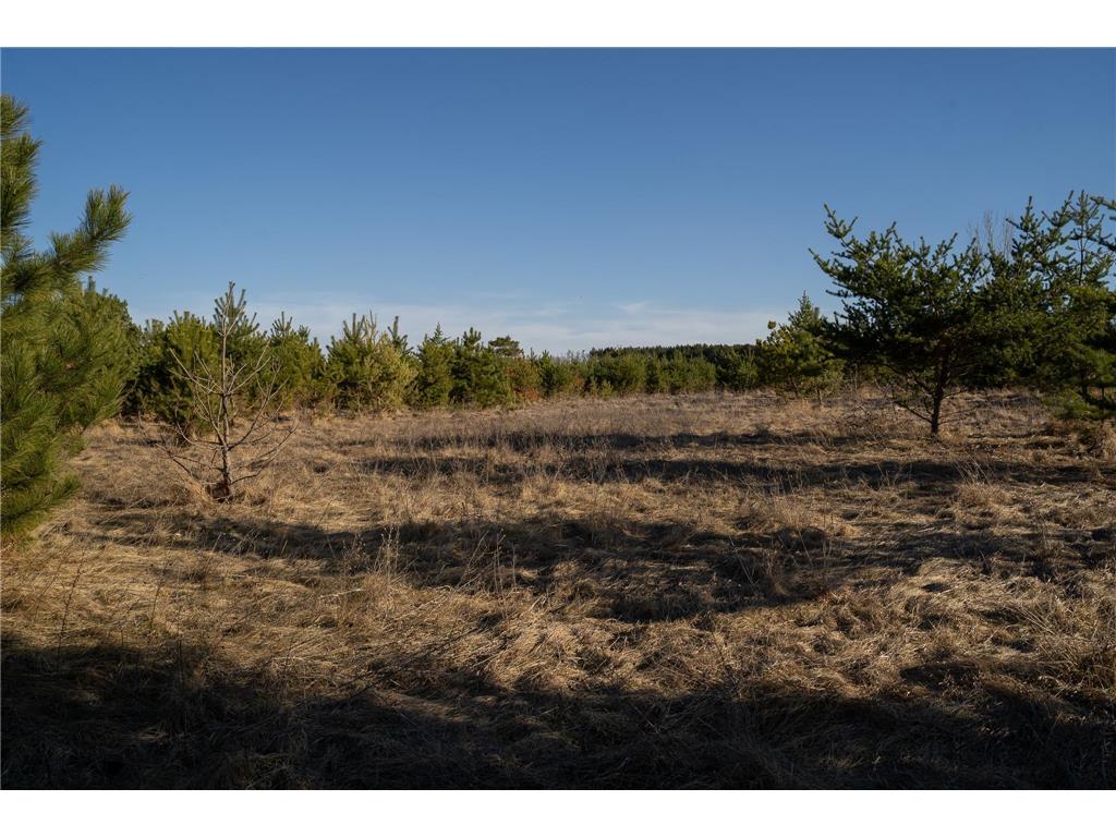 TBD Hwy 71 Wadena MN 56482 7056050 image19