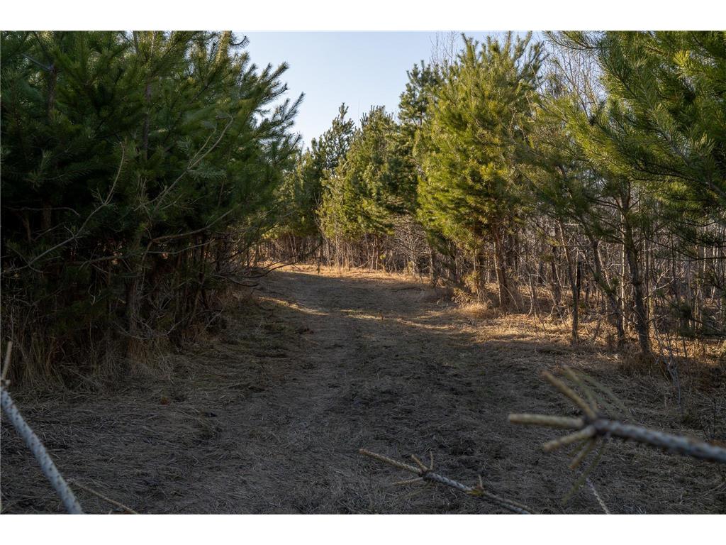 TBD Hwy 71 Wadena MN 56482 7056050 image20